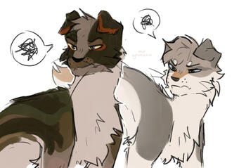 sketch