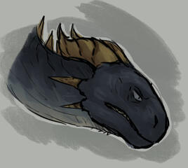 sketch
